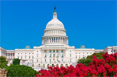[ai] The United States Capitol building, featuring its distinctive dome and columns, surrounded by vibrant red flowers under a clear blue sky.